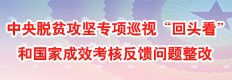 中央脱贫攻坚专项巡视“回头看”和国家成效考核问题整改