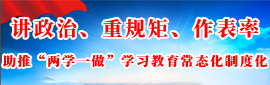 讲政治、重规矩、作表率，助推“两学一做”学习教育常态化制度化