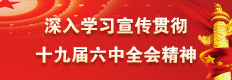 深入学习宣传贯彻十九届六中全会精神