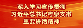 深入学习宣传贯彻习近平总书记考察安徽重要讲话精神