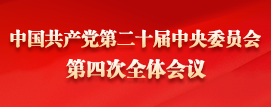 中国共产党第二十届中央委员会第四次全体会议