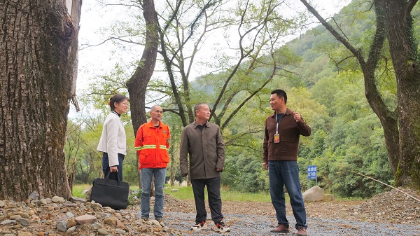 镜头丨监督守护绿水青山
