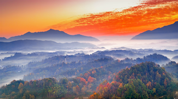 镜头 | 冬至阳生 岁寒日暖
