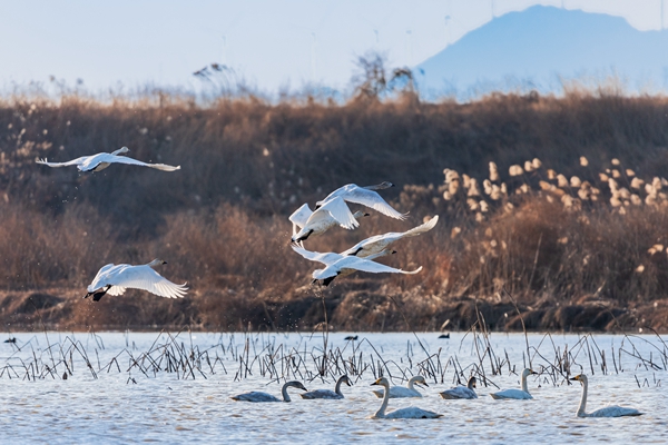 镜头丨大美一月