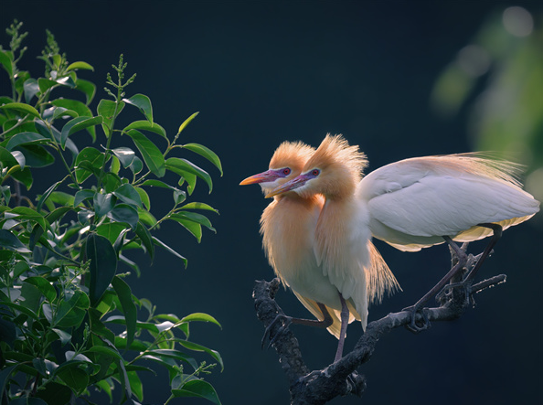 镜头｜春雷始鸣 万物惊蛰