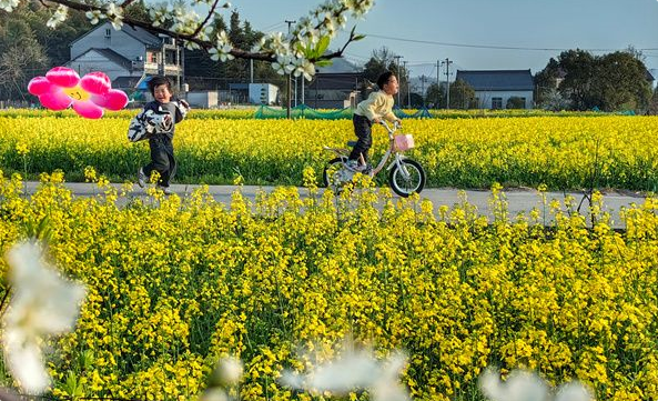 镜头｜春和景明 时序春分