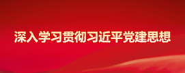 深入学习贯彻习近平党建思想