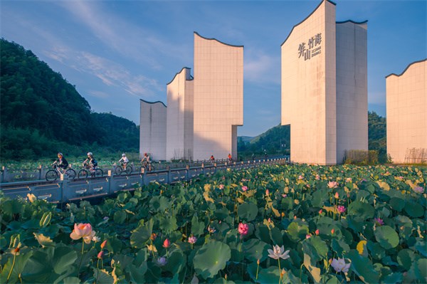 镜头 | 倏忽温风至 因循小暑来